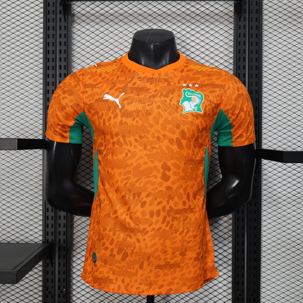 Maillot Cote D Ivoire Domicile 2026 — Player