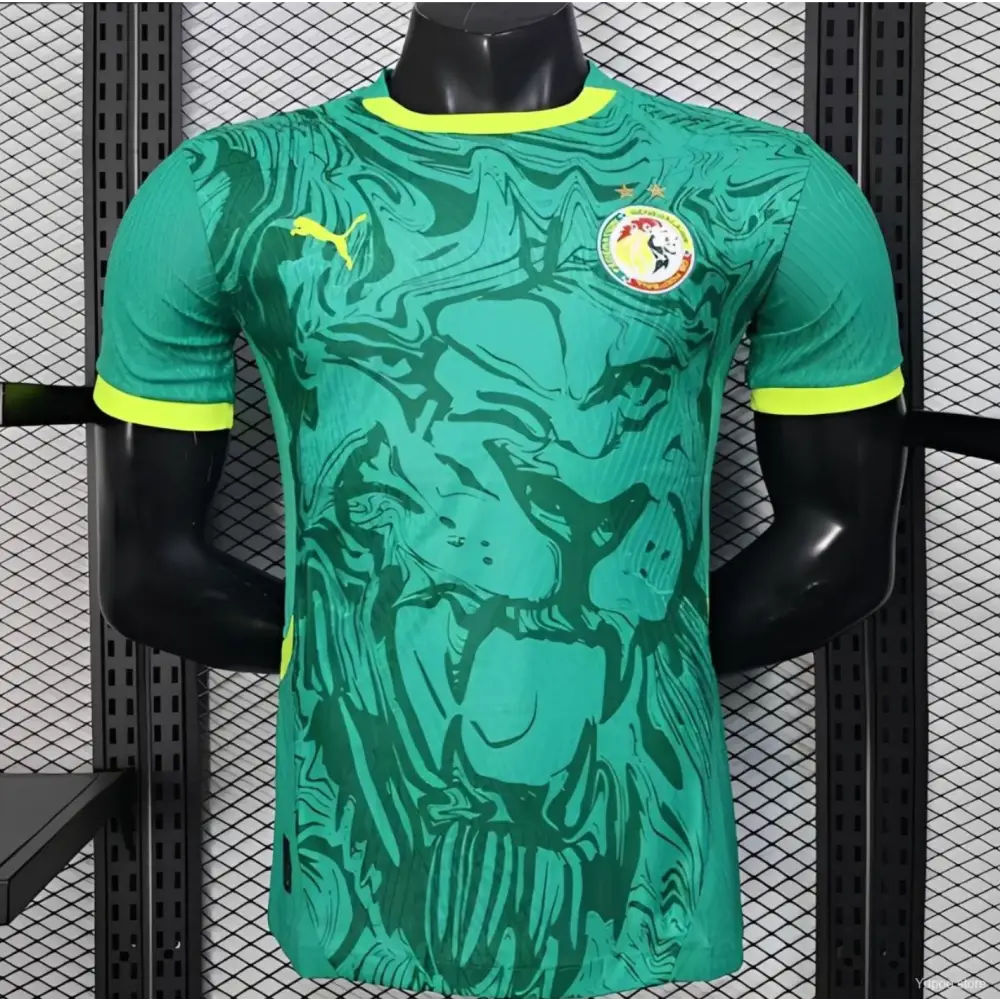Maillot Sénégal Extérieur 2 étoiles — Player
