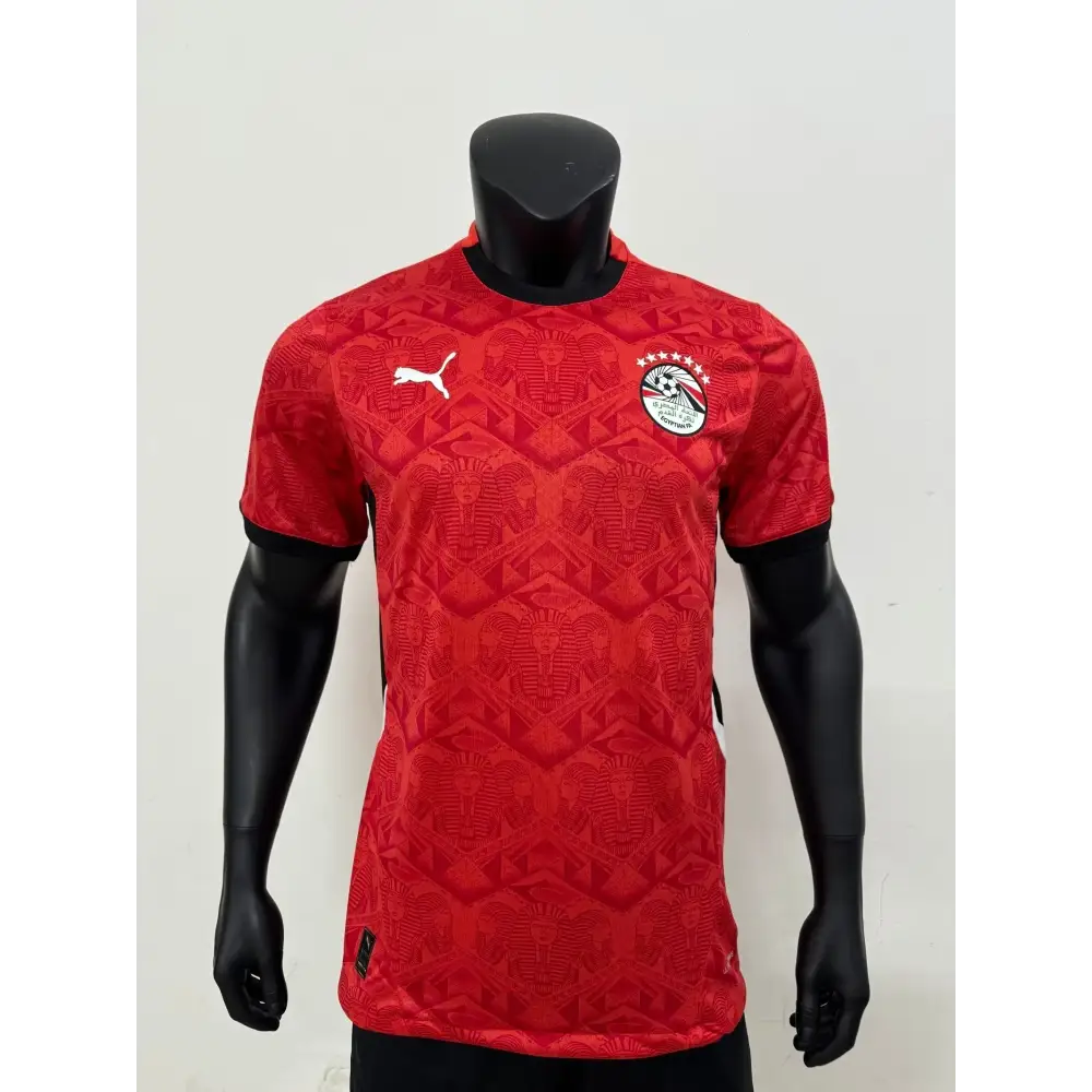 Maillot Egypte Domicile 2025/2026 — Player