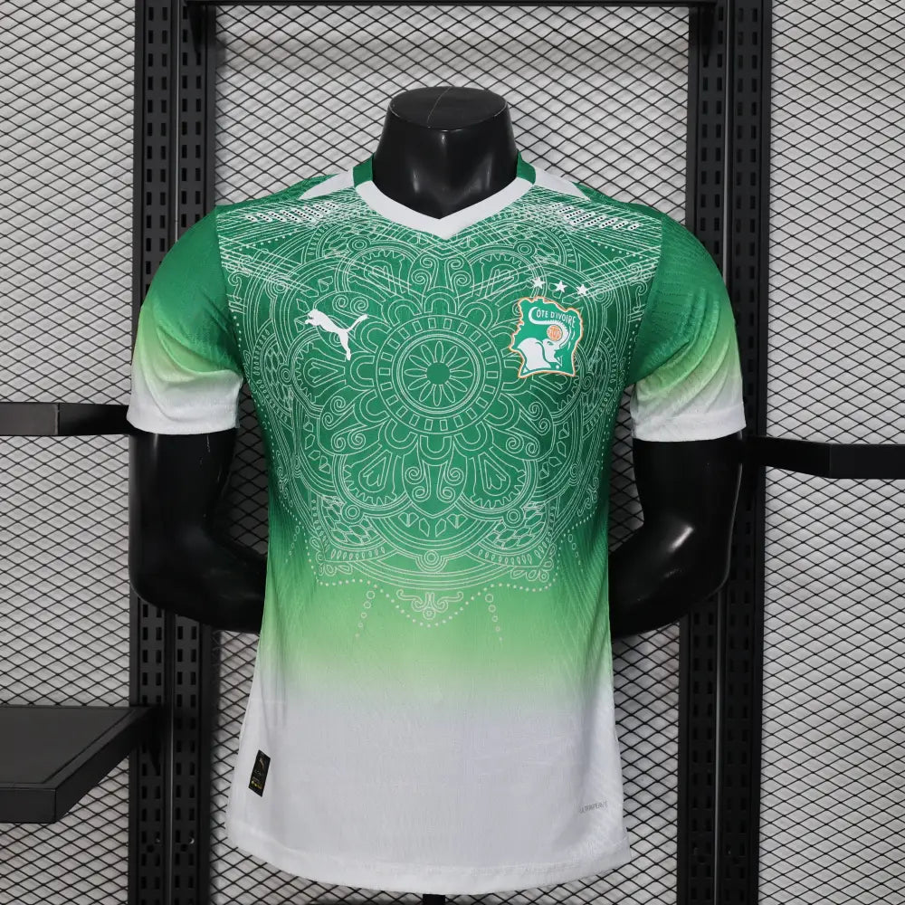 Maillot Cote d'Ivoire Concept degradé vert 2025/2026 — Player